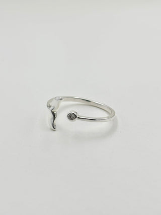 Tail Ring B42