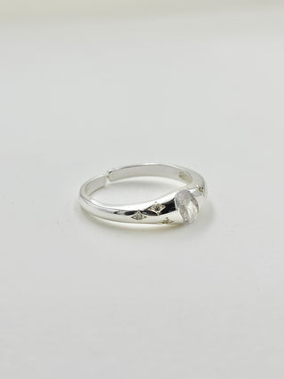 Many Shiny Ring C23