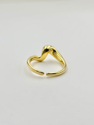 Deformation Ring A24