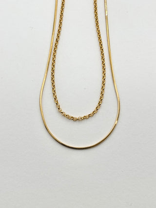 Simple Double Chain Necklace D35
