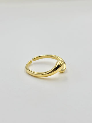 Deformation Ring A24