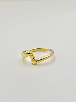 Deformation Ring A24