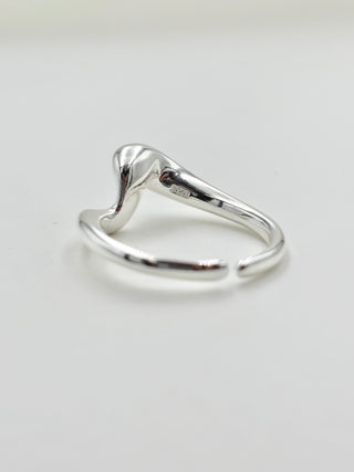 Deformation Ring A24