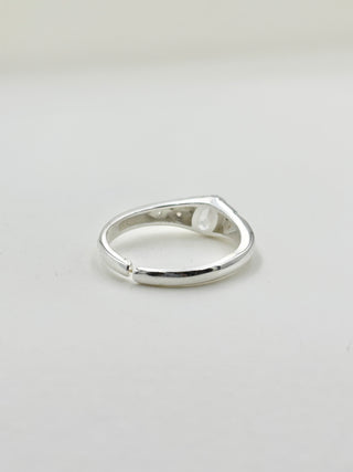 Many Shiny Ring C23
