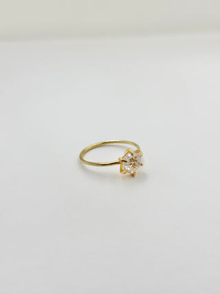 Hexagon Ring A2