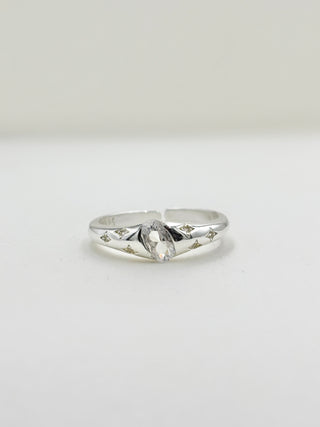 Many Shiny Ring C23