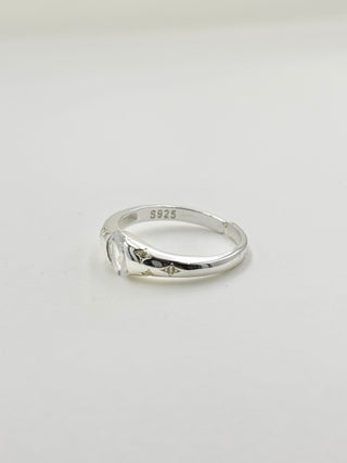 Many Shiny Ring C23