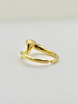 Deformation Ring A24