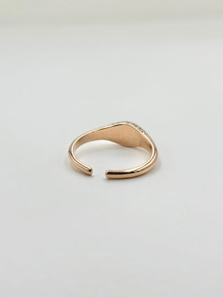 Get Together Ring B35