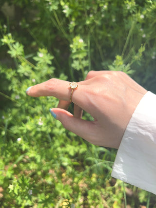 Hexagon Ring A2